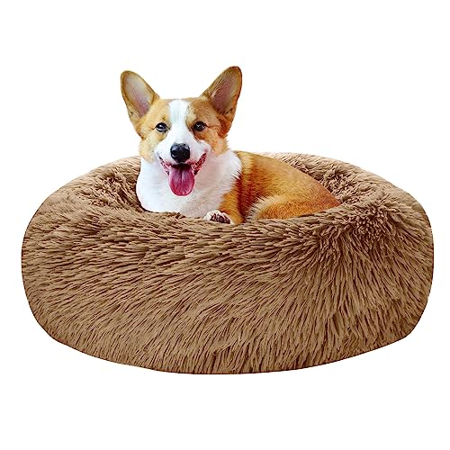 TOHDNC Cama para Perro 50CM Cama Gatos, Redonda Cama para Mascotas Cómodo...